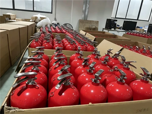 Fire Extinguisher Storage and Maintenance Fire Extinguisher Storage and Maintenance