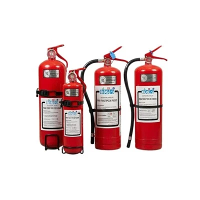 Portable Dry Powder Fire Extinguishers